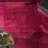 Solid Color Machine Woven Polyester Area Rug in Red-1105312464-1102422644