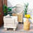 Shenia 3-Piece Outdoor Upholstered Coversation Set