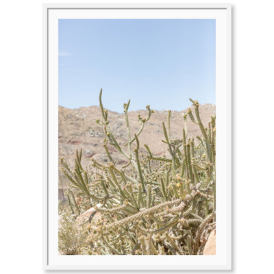 Baja California Print by Carly Tabak