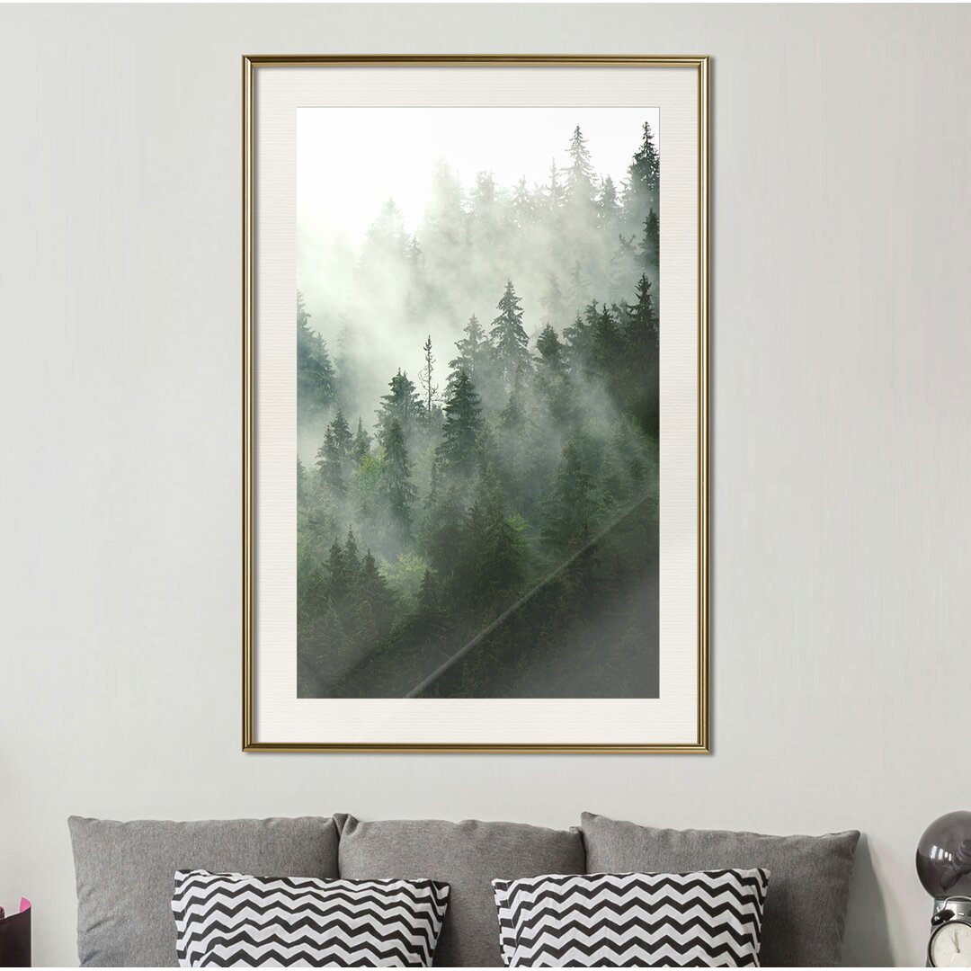 Gerahmtes Poster Steaming Forest