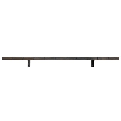 Rayne de présentation Rayne
