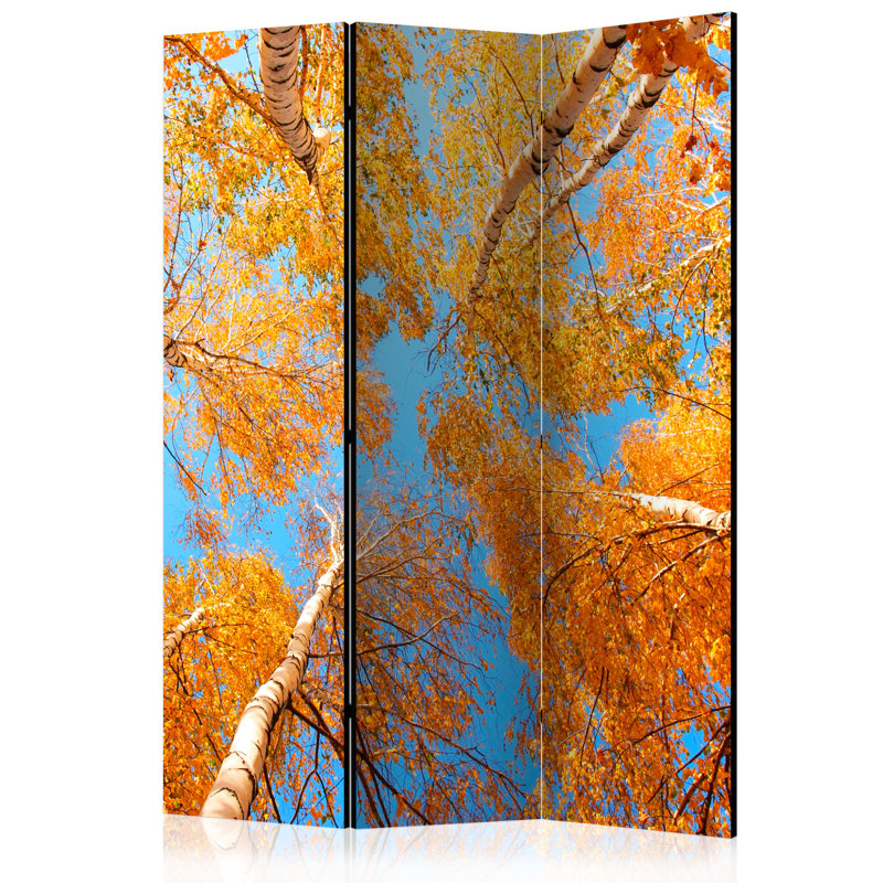 Nerses 172cm H Solid Wood Folding Room Divider, 3
