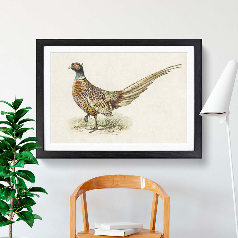 Ring-Necked Pheasant by Von Wright - Picture Frame Painting Print, 48cm H x 65cm W x 2cm D, Black Framed