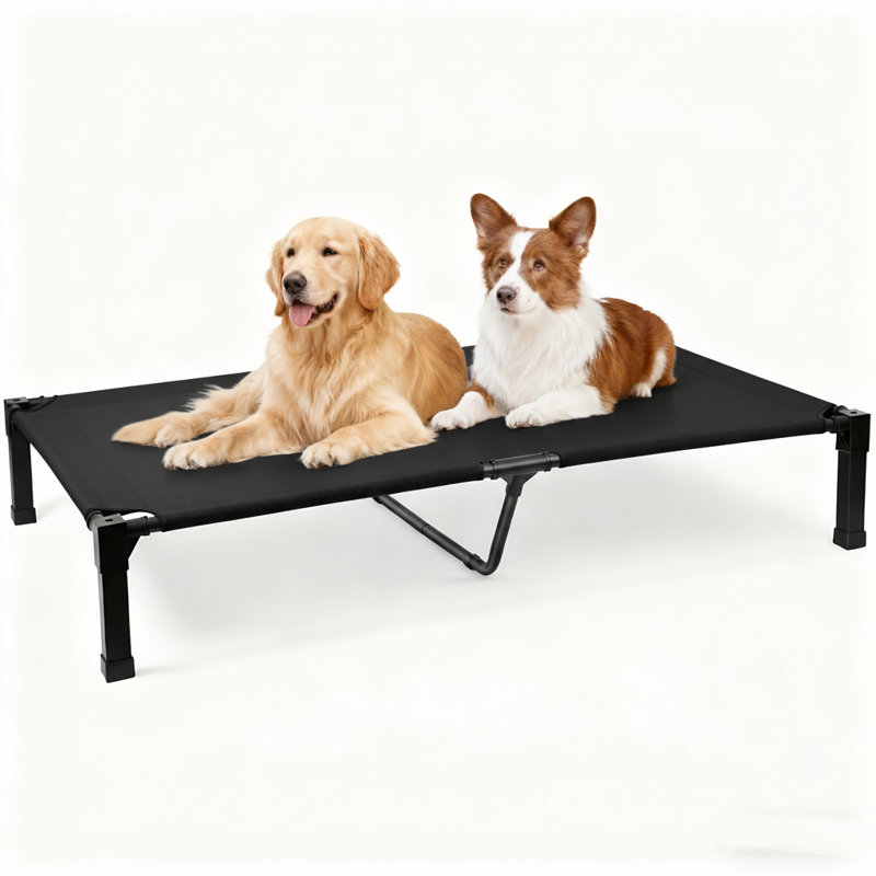 Lit pour chien Cooling Elevated, H 9,3 po x l 60 po x P 36,1 po, Noir