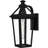 Frimmy 1-Light Matte Black Outdoor Wall Lantern