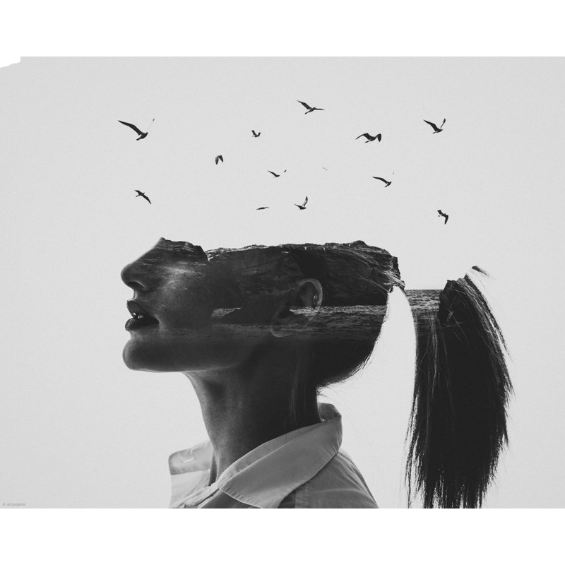 1 Piece Wrapped Canvas Wall Art