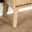 Anelise 2 Door Rattan Shoe Storage Cabinet-1647363559