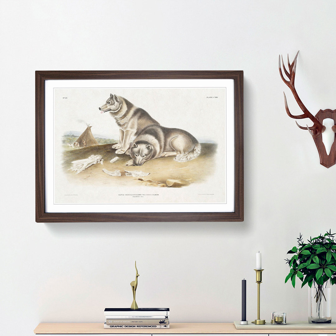 Eskimo Dog by J.W. Audubon - Picture Frame Painting Print