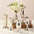 Queen Anne's Set of 6 Silver-Plated Brass Vases – Antique-Inspired Decorative Flower Vessels