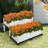 Set Of 4 Elevated Flower Vegetable Grow Planter Box