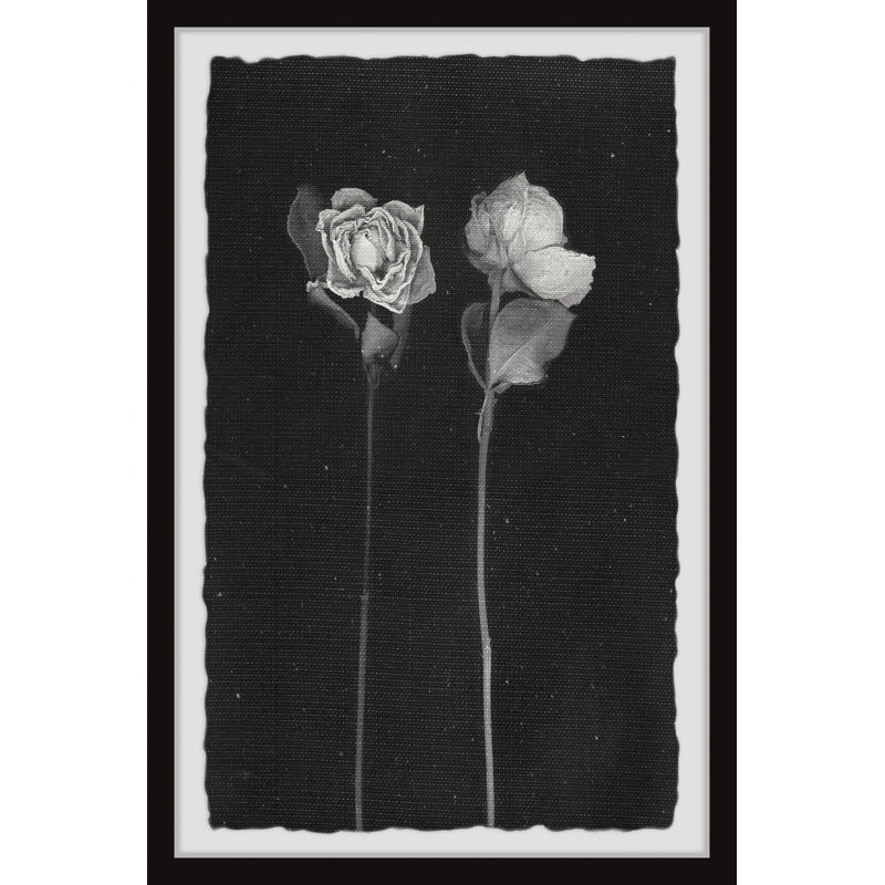 Garden Beauties - Single Picture Frame Painting, 61cm H x 41cm W x 3.81cm D