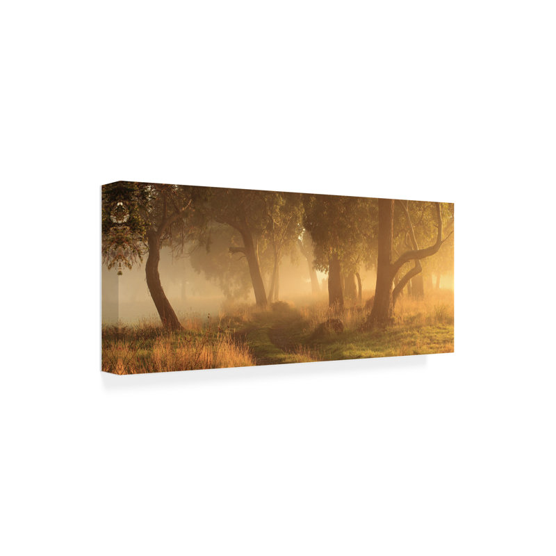 Garth Smith  Morning Mist Canvas Art, 10" H x 24" W