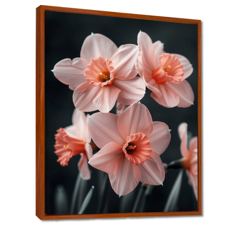 «Pink Black Ethereal Emblem Daffodils» - impression d'art mural jonquilles, H 34 po x l 44 po, Cadre flottant brun