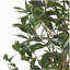 ARBRE DE LAURIER ARTIFIQUE 150CM 150CM-1563496705