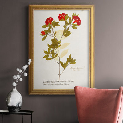 " Nature Botanicals VIII " Painting Print