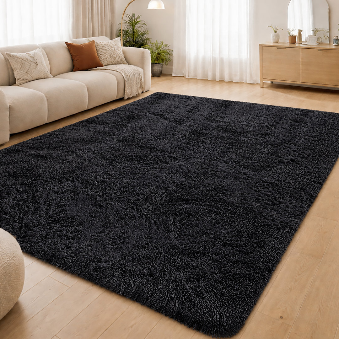 Aspire Homeware Black Shaggy Area Rug Soft Plush Indoor Carpet