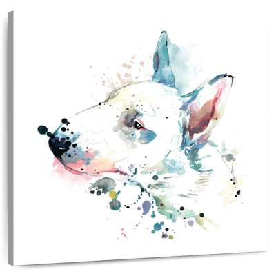 Crowle White Bull Terrier éclaboussures