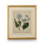 Cottage Florals III Print