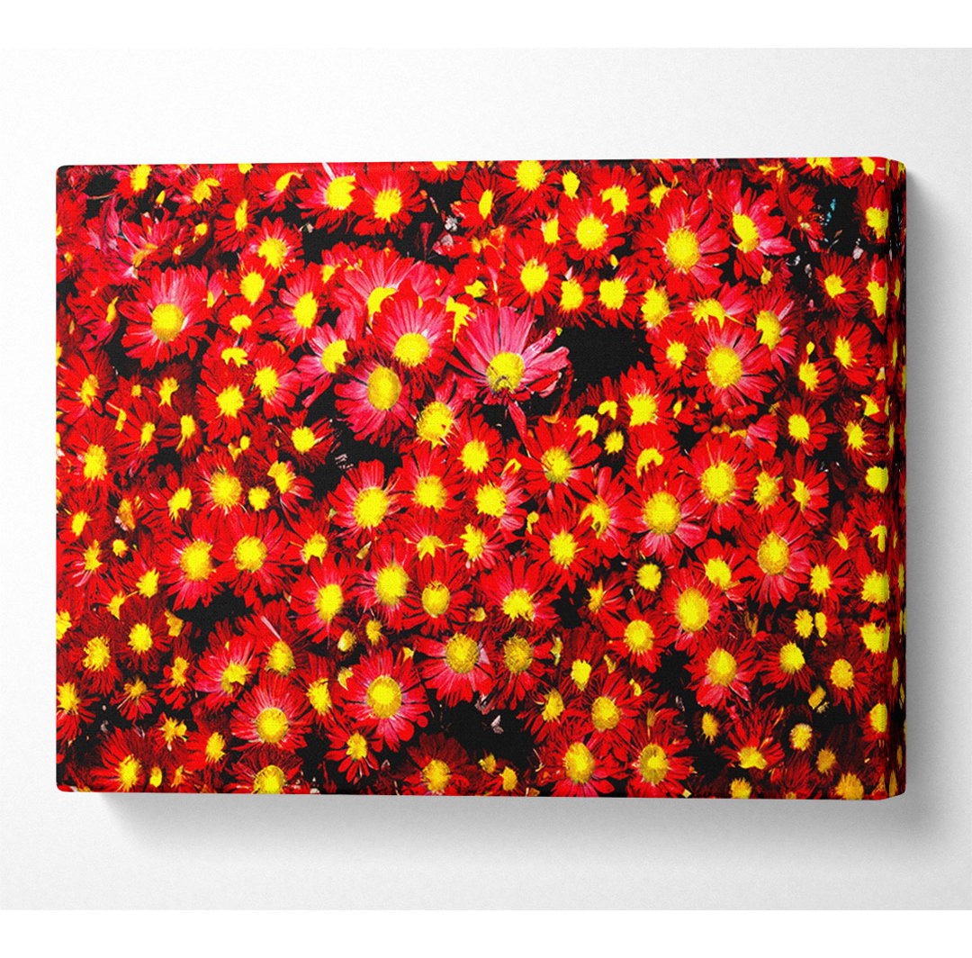 Chrysanthemen - Kunstdrucke auf Leinwand - Wrapped Canvas