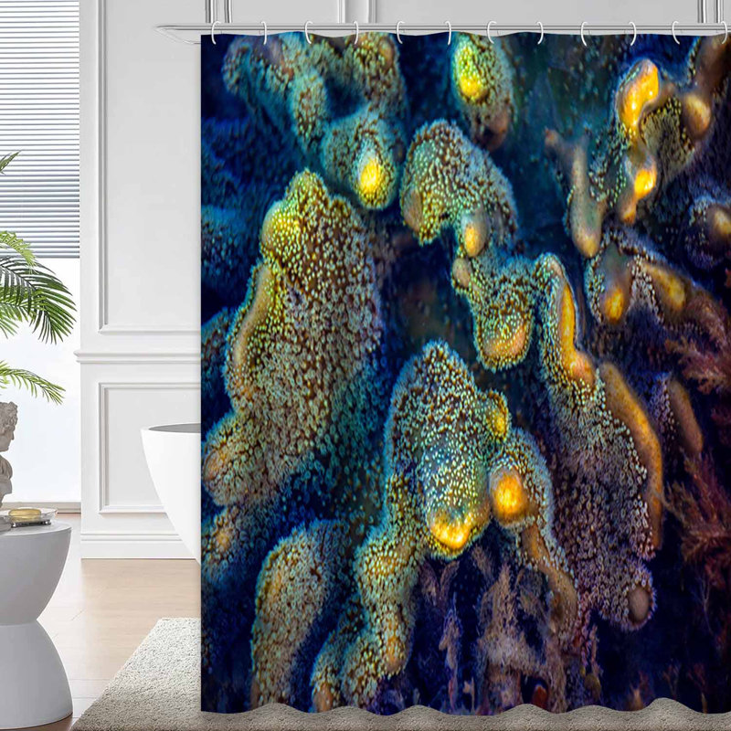 Rideau de douche Elephant Coral, L 72 po x l 84 po