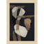«All Attoched» par Jacob q, impression sur bois encadrée-1718493138-1718493140
