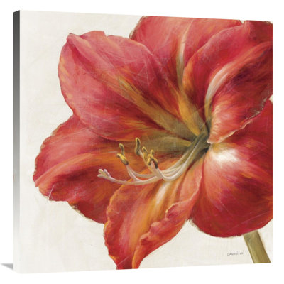 " Vivid Red Amaryllis " Painting Print
