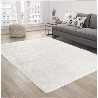 Aeysha Shag Indoor / Outdoor