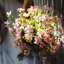 Tige de gaura en soie-1750130998-1750513648