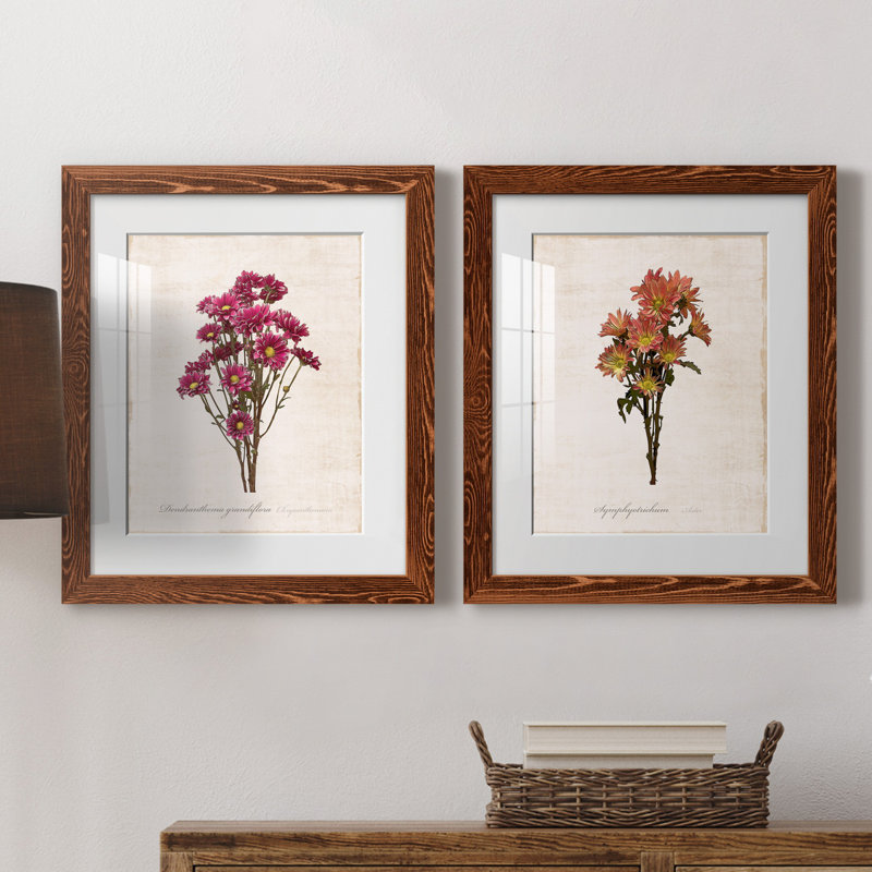 " Sketchbook Chrysanthemum " 2 - Pieces, 20" H x 17" W x 1" D, Maple Framed Paper, White