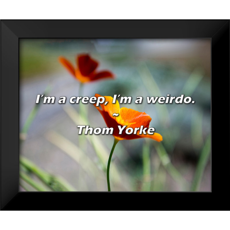 Citation de Thom Yorke: I'm a fluage, I'm a weirdo.