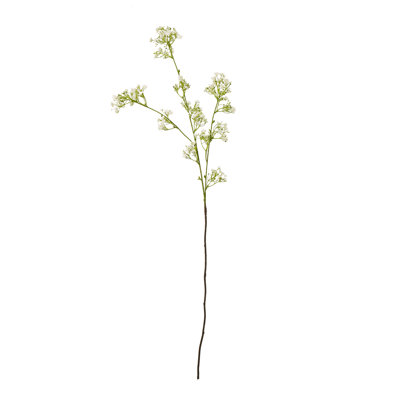 Anastasija Arrangement