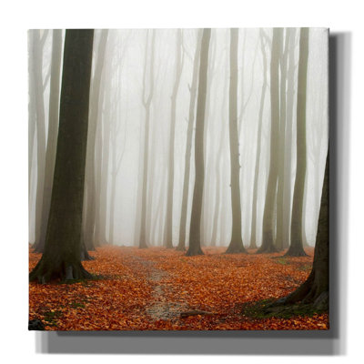 " Autumn Forest Floor " by PhotoINC Studio