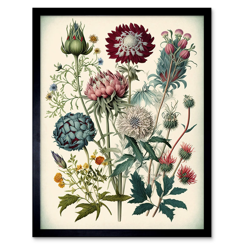 Seldovia Ernst Haeckel - Single Picture Frame Print