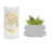 8'' H Glass Tabletop Pillar with Candle Included