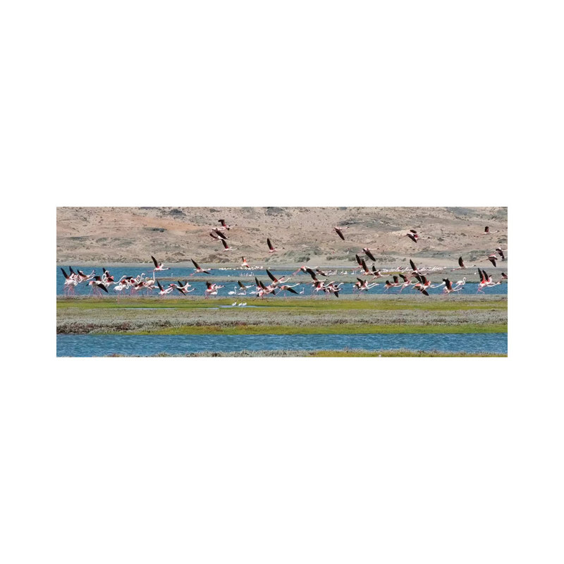 Flamingos, Luderitz Bay, Karas Region, Namibia by Keren Su - Wrapped Canvas Panoramic Print