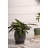 Helmuts Handmade Ceramic Pot Planter-73058272-73058271