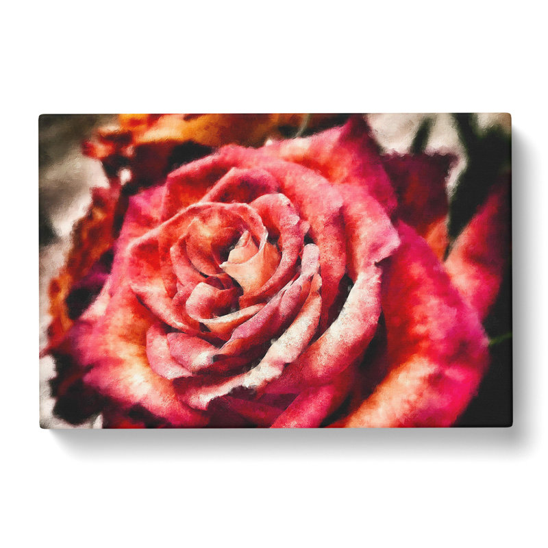 Pink Rose Flower Vol.4 - Wrapped Canvas, 40cm H x 60cm W x 3cm D