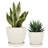 2 Piece Ceramic Plant Pot with Drainage Holes and Saucers-1986390040