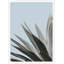 Agave Color 5 Print by Nathan Turner