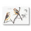 Tail Tit Birds by Johan Teyler - Wrapped Canvas Print-55339650