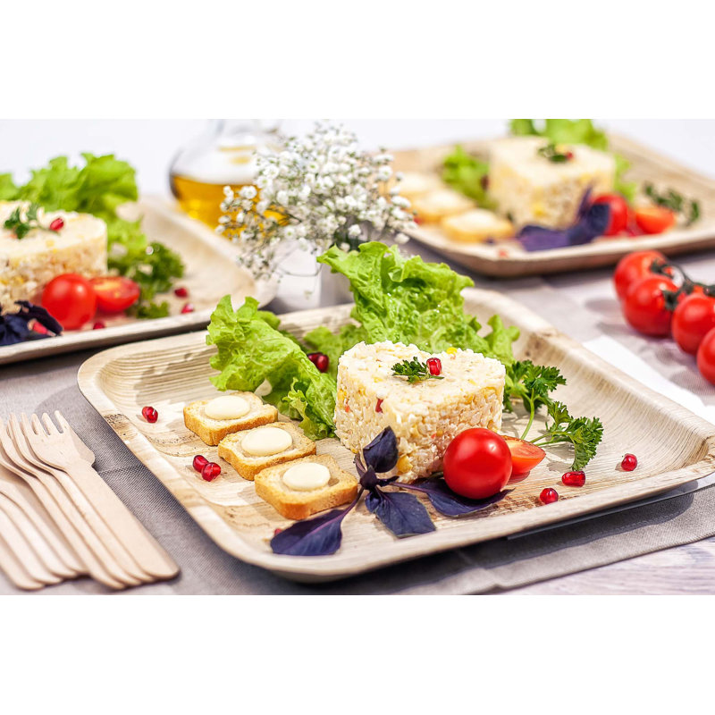 Assiettes jetables de 10 po - Compostables