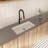 NEWATER Pull Down Kitchen Faucet