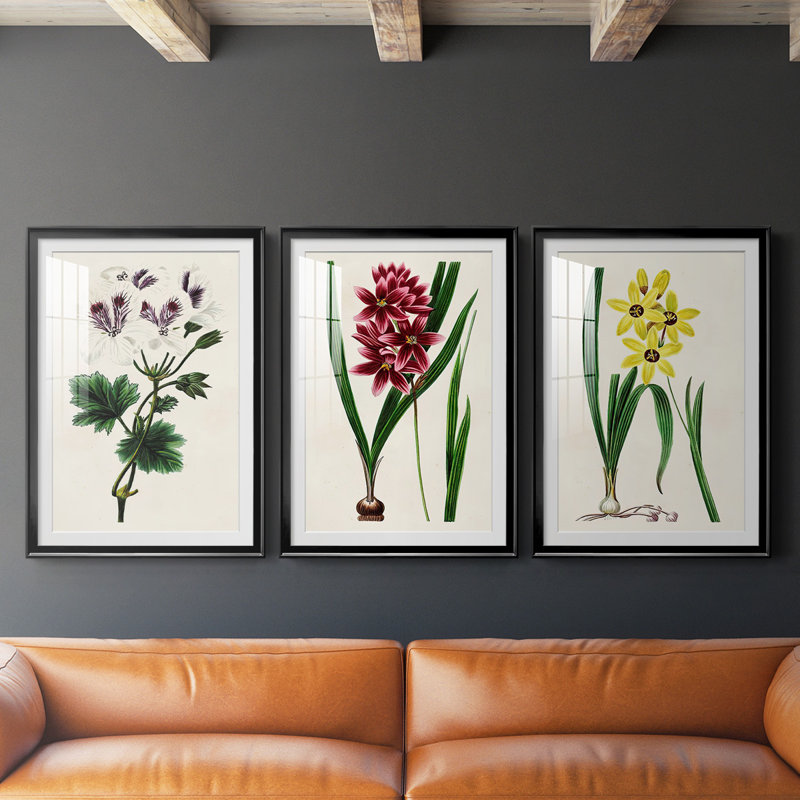Reproduction encadrée antique de qualité florale antique - prête à être accrochée, Noir, H 30,5 po x l 67,5 po x P 1,25 po