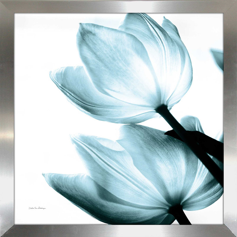 «Translucent Tulips II Sq Aqua Crop», reproduction de photo sur toile en bleu / blanc, H 21,5 po x l 21,5 po x P 0,75 po