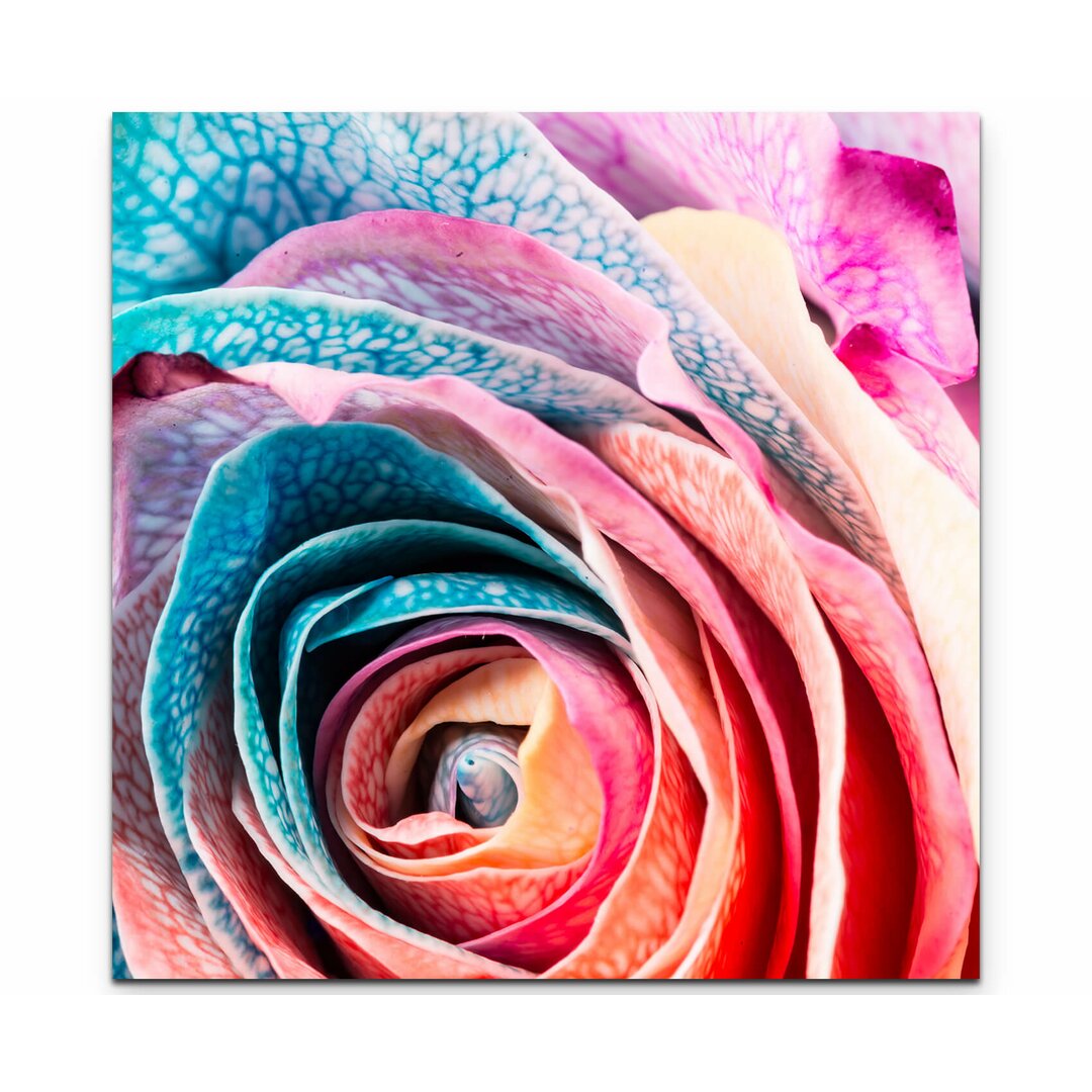 Leinwandbild Regenbogen Rose