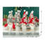 Christmas Stuffed Holiday Accent