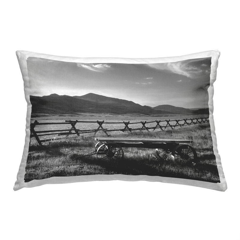  Polyester Throw Pillow
