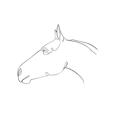 Crayon équin contour I