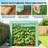 Stable Greenhouse,Mini Greenhouse
