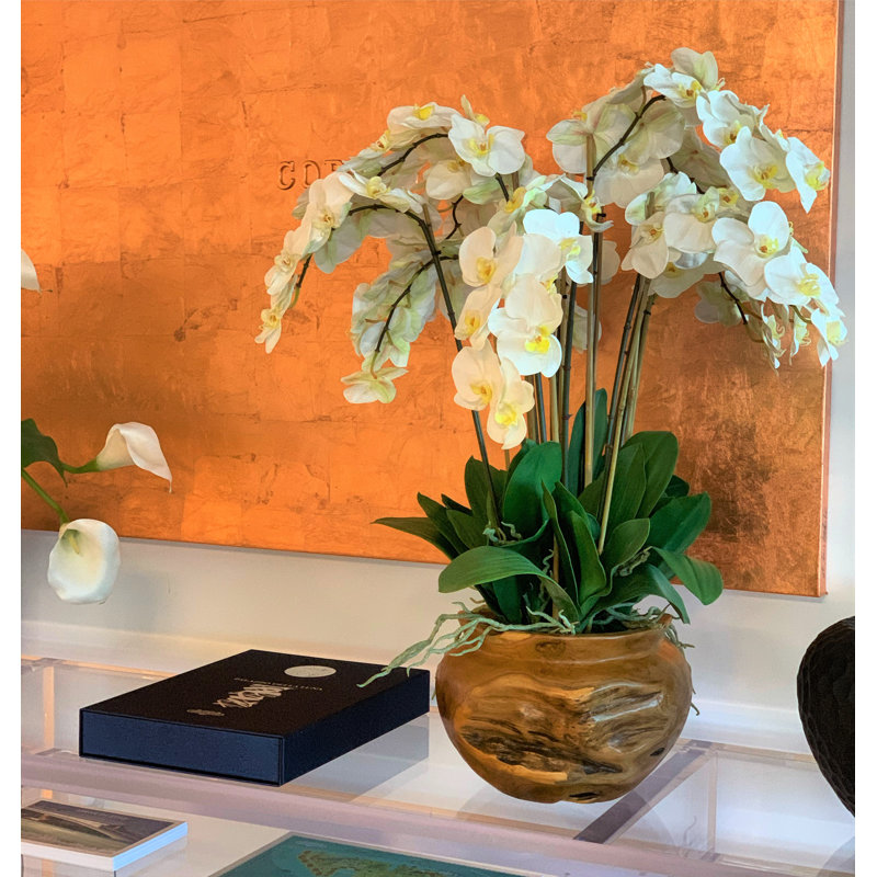 Orchid Floral Arrangement in Planter